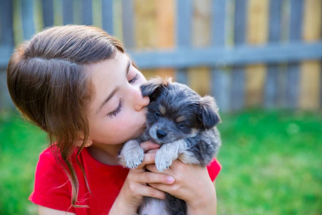 Puppies need plenty of attention and affection