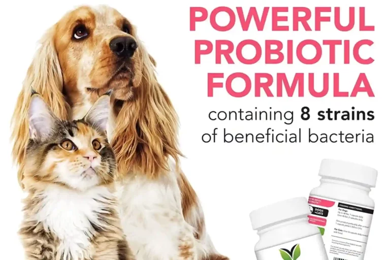 Vetri Mega Probiotic for Dogs Review 2024