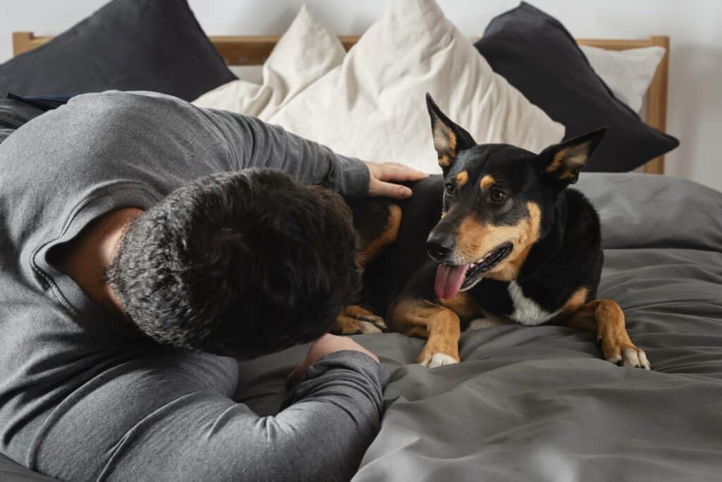 Dog on your bed