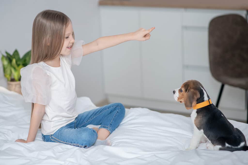 Training puppy to sleep out of room