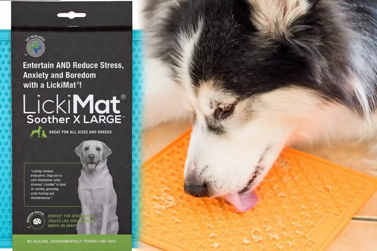 LickiMat Soother Dog Lick Mat