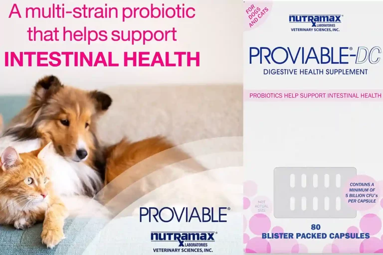 Nutramax Proviable Digestive Health Supplement Multi-Strain Probiotics Review 2024