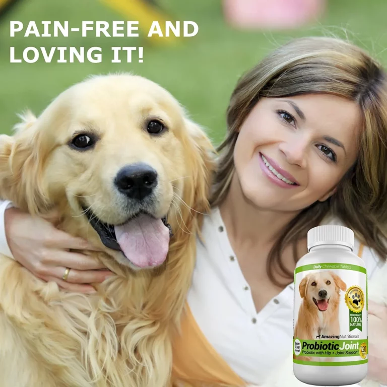 Amazing Probiotics for Dogs