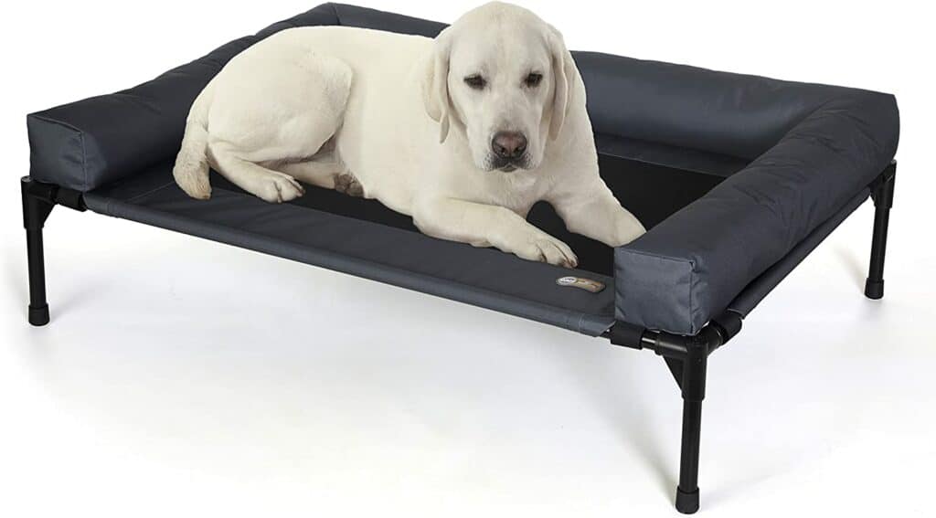 Elevated Dog Bed