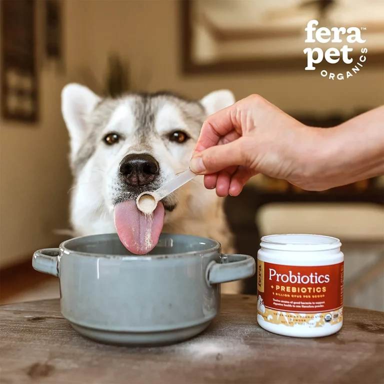 FERA Probiotics for Dogs and Cats Review 2024