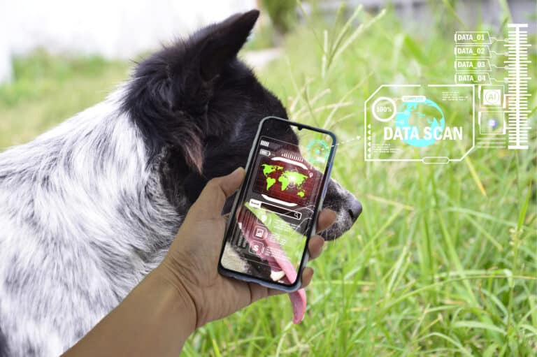 20 Best Dog Apps for pet parents updated for 2024