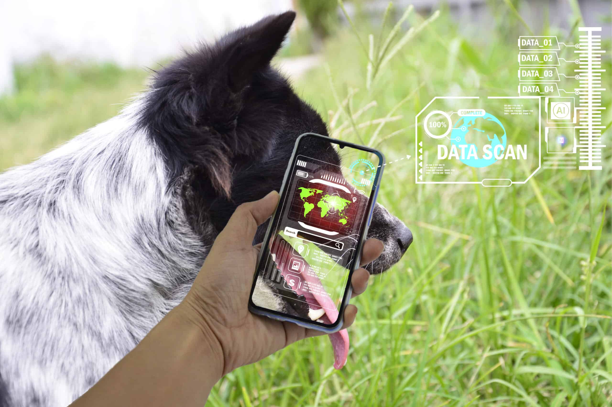 Best Dog Apps