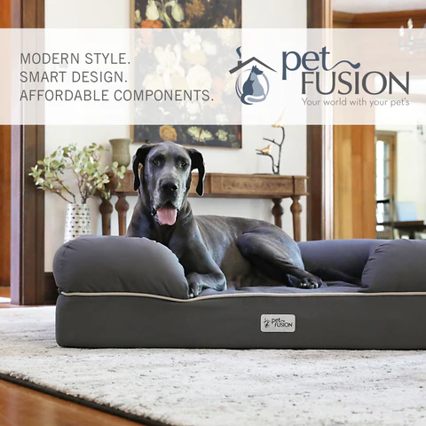 PetFusion BetterLounge Orthopedic Dog Bed Review for 2024