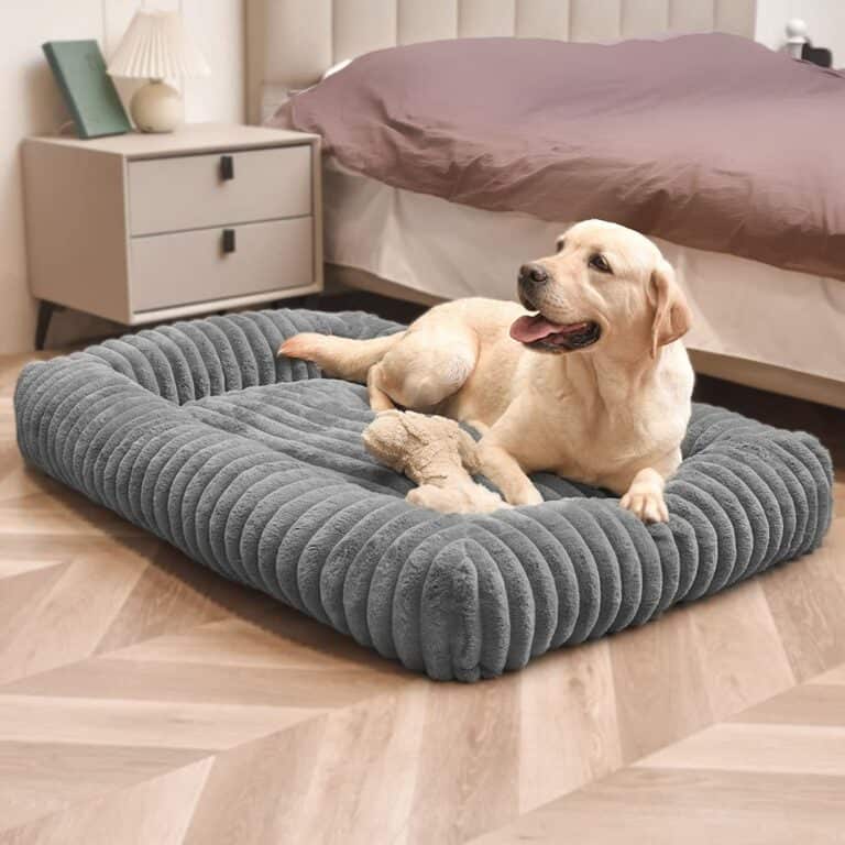 9 Best Chew Proof Dog Beds updated for 2024