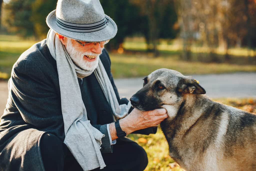 Best Dog Breeds for Seniors