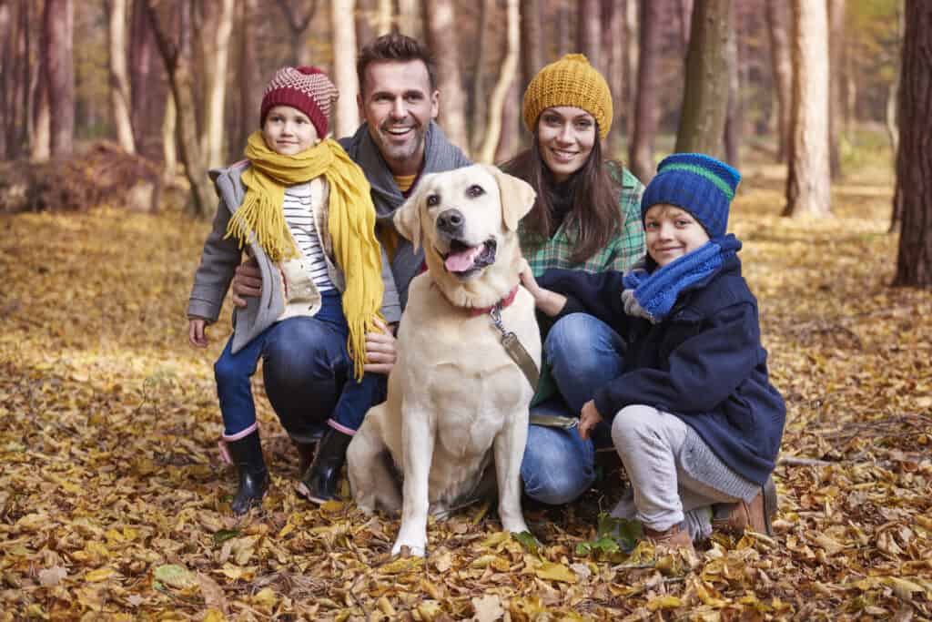 Best Dog Breeds for Families