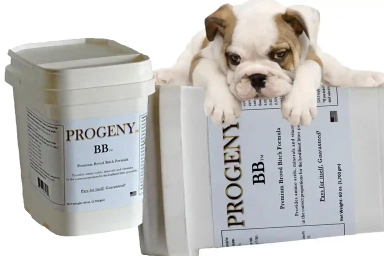 Progeny BB Dog Breeding Supplement Review for 2024