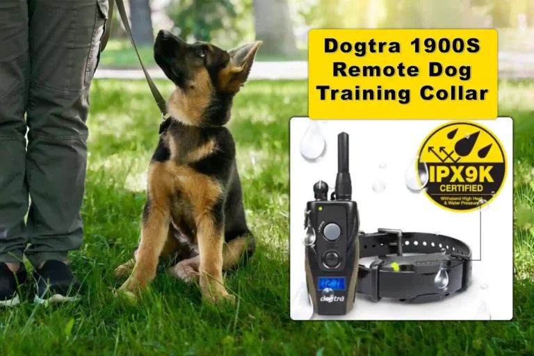 Dogtra 1900S Remote Dog Training Collar in 2024