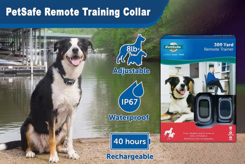 PetSafe Remote Training Collar