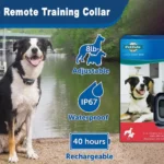 PetSafe Remote Training Collar