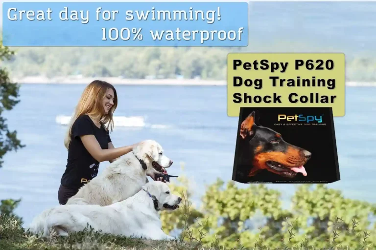 PetSpy P620 Dog Training Shock Collar for Dogs in 2024