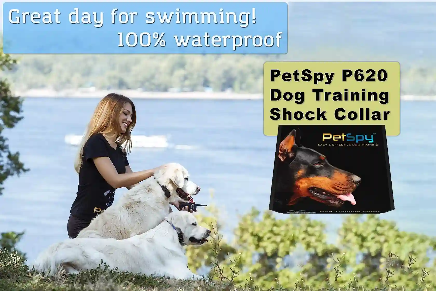 PetSpy P620 Dog Training Shock Collar