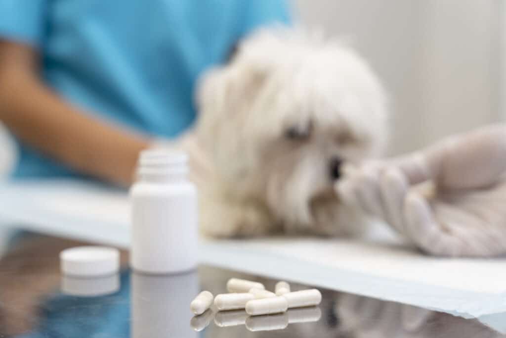 Doggy Perks - Vitamins & Supplements