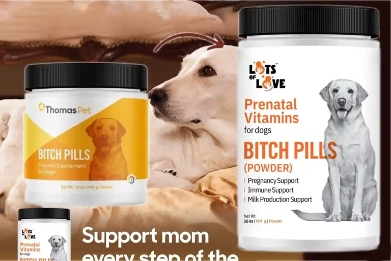 Bitch Pills Powder Form Prenatal Vitamins for Dogs Review for 2024