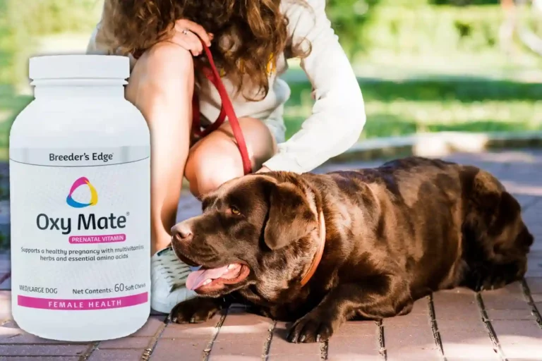 Breeders Edge Oxy Mate Dog Prenatal Vitamins