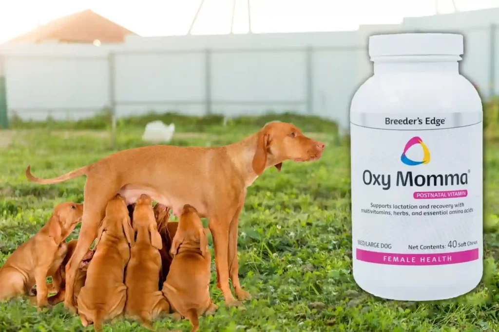 Breeders Edge Oxy Momma Postnatal Supplement