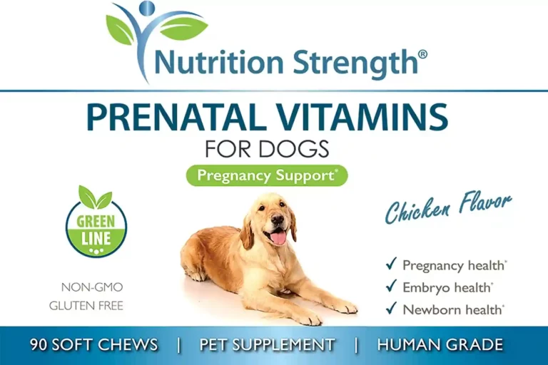 Nutrition Strength Prenatal Vitamins for Dogs Review for 2024