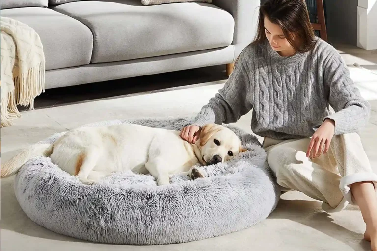 Western Home Faux Fur Calming Dog Bed – Review updated for September 2024